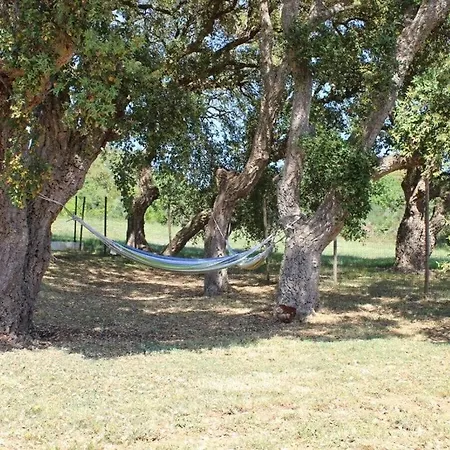 Villa Monte Vernal Mit Pool Pula